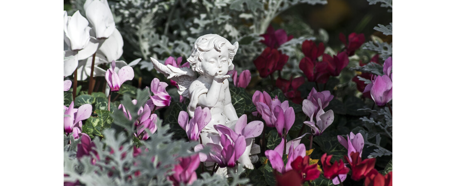 flowers and statue new